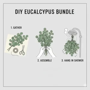 A step-by-step illustration on how to prepare a DIY eucalyptus bundle for aromatherapy showers.